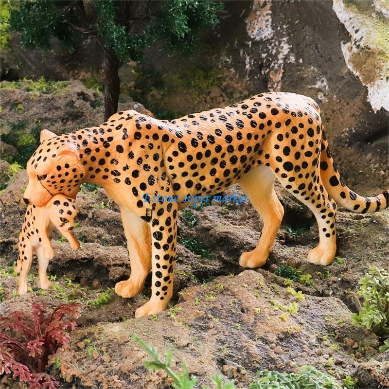 Science Exhibition Models - 090B detallada guepardo perfecta para exhibición